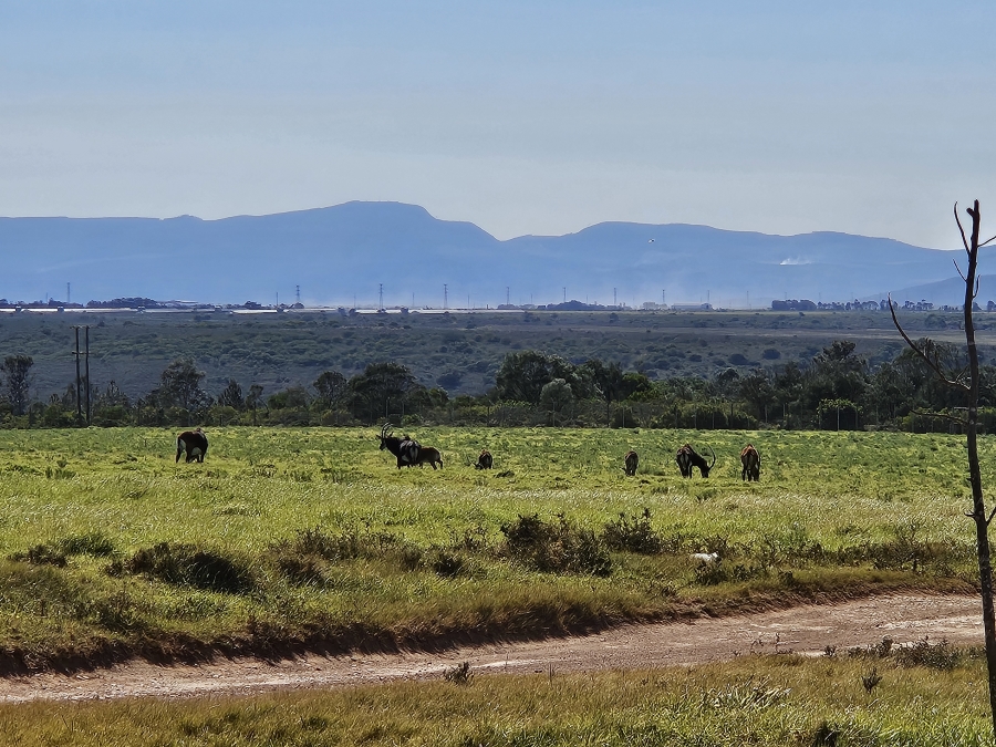 0 Bedroom Property for Sale in Twin Valley Eastern Cape